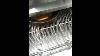 Automatic Stainless Steel Counter Top Conveyor Pizza Oven Machine With Belt