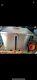 Commerical pizza oven, commerical convection oven. Restaurant oven, blodgett